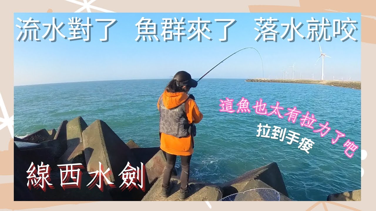 流水對了 魚群來了 落水就咬 不誇張這是我目前拉過最有力的魚［師傅領進門］#釣魚 #磯釣 ｜雪莉一隻羊