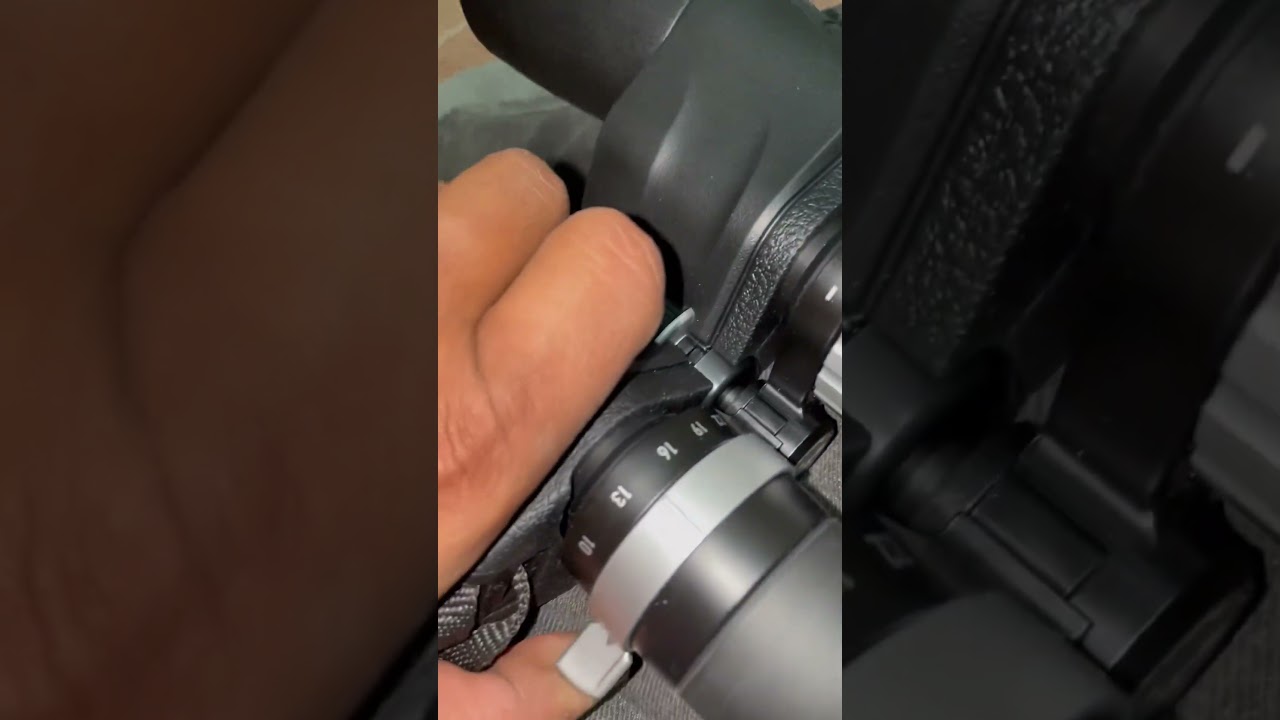 Binoculars   Durbin   Pigeonlove kabutar video  #viral #shortsfeed #trending #kabutar #pigeon