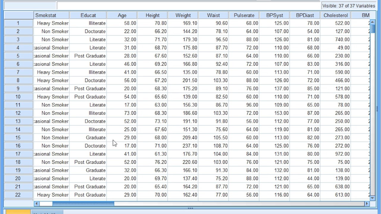 K Means Cluster Analysis in SPSS