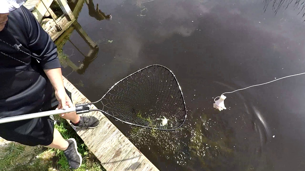 crabbing at the outer banks