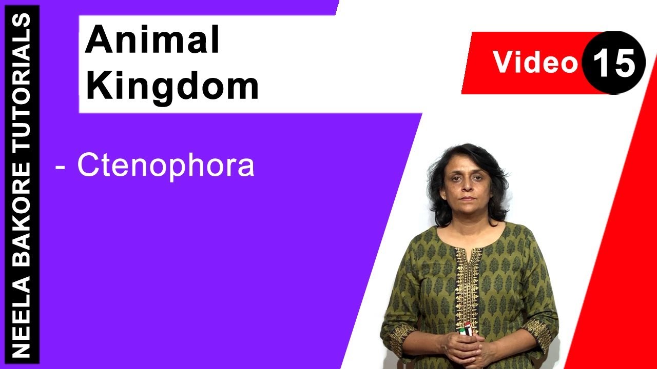 Animal Kingdom | NEET | Ctenophora | Neela Bakore Tutorials