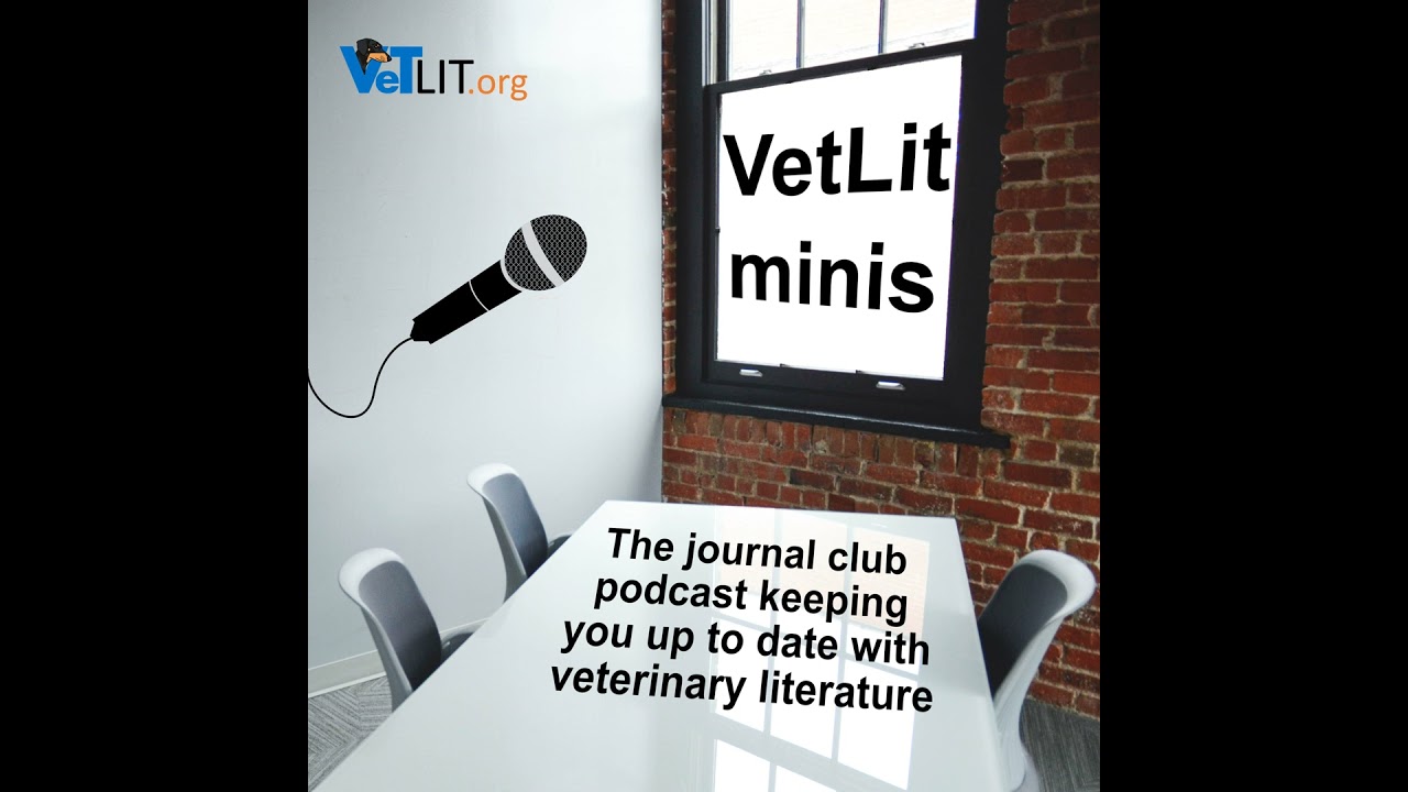 Surgical mitral valve repair with Dan Brockman and Matteo Rossanese