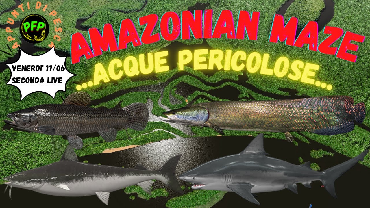 Appunti di Pesca - Amazonian Maze, acque pericolose