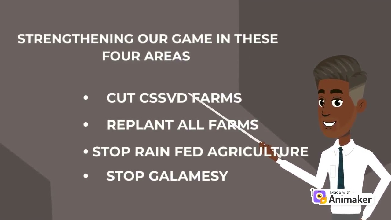 Special Cocoboard News