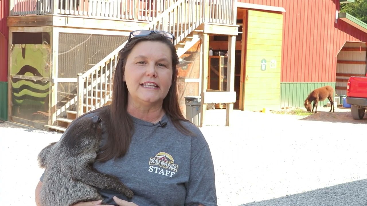 Destination Ocoee:  Ocoee Riverside Farm