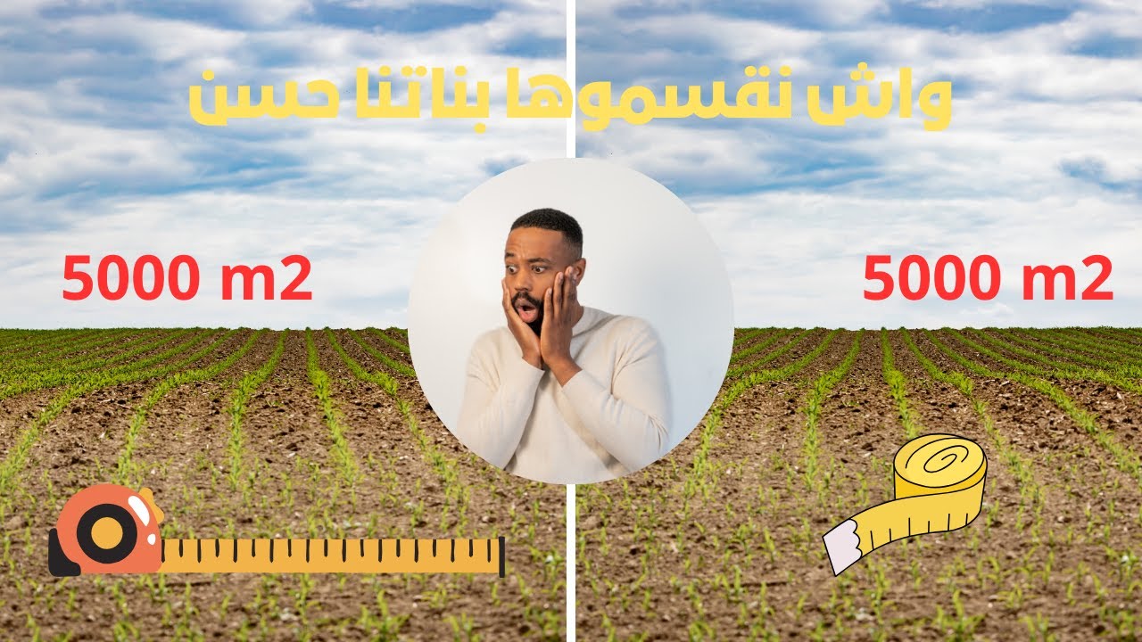 شراء أرض فلاحية صغيرة بثمن مناسب 😍 | فكرة عملية للشباب والجالية @Propriétés_top