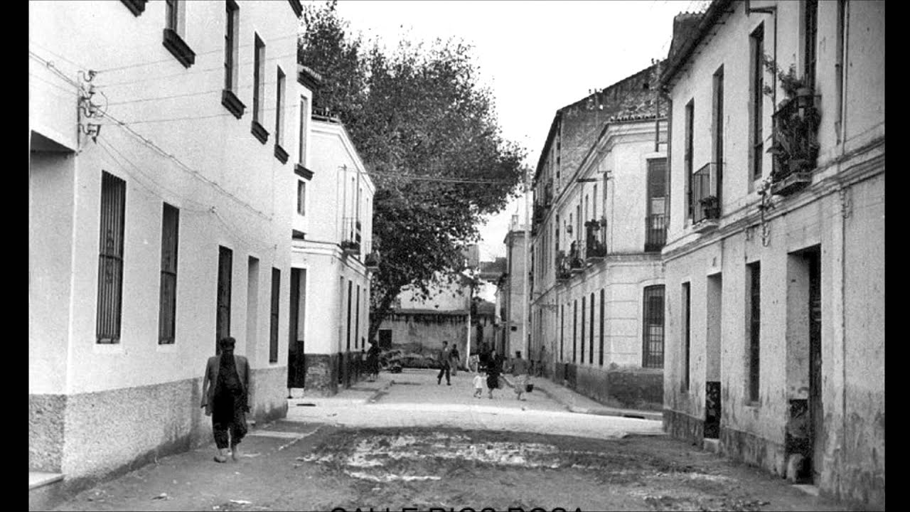 CALLES DEL PERCHEL TOTAL