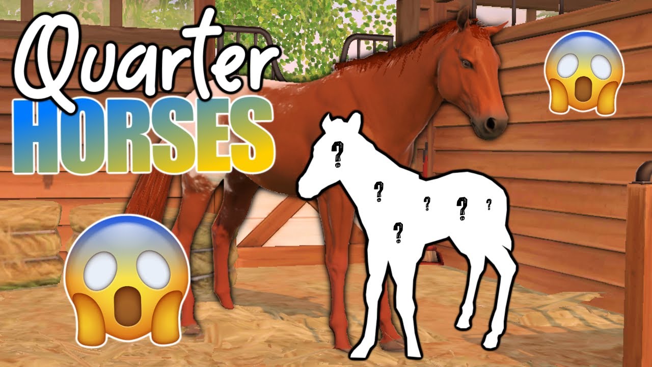 wir züchten die 🅴🆁🆂🆃🅴🅽 QUARTER HORSE FOHLEN 🐴 Rival Stars Horse Racing