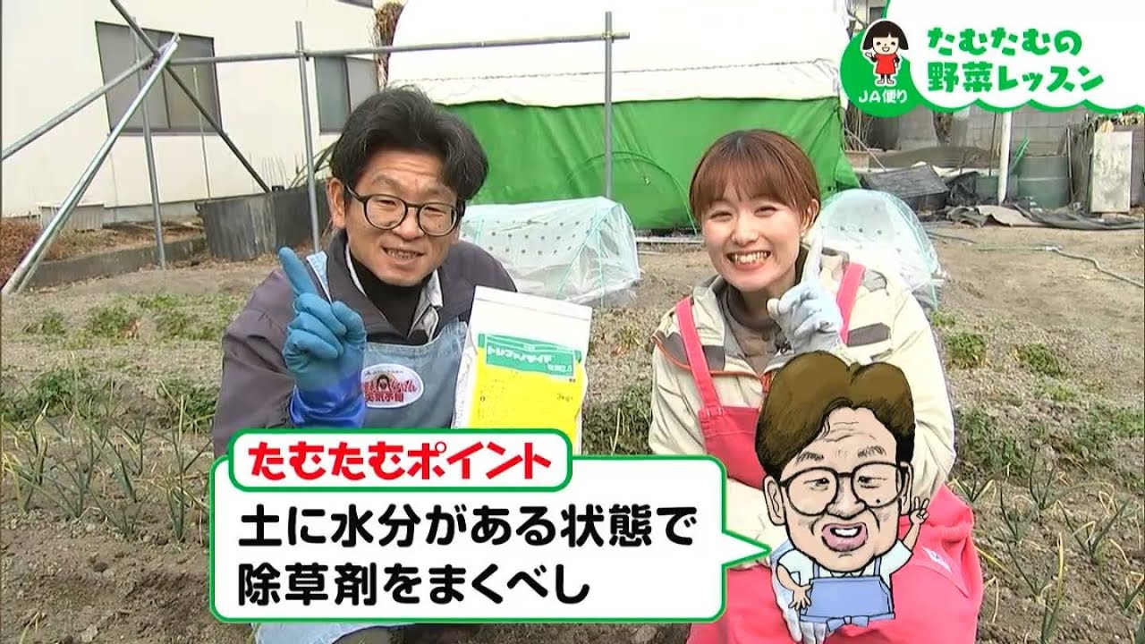「土に水分がある状態で除草剤をまくべし」【第34回】｜【笑味ちゃん天気予報】たむたむの野菜レッスン 2026年2月13日放送