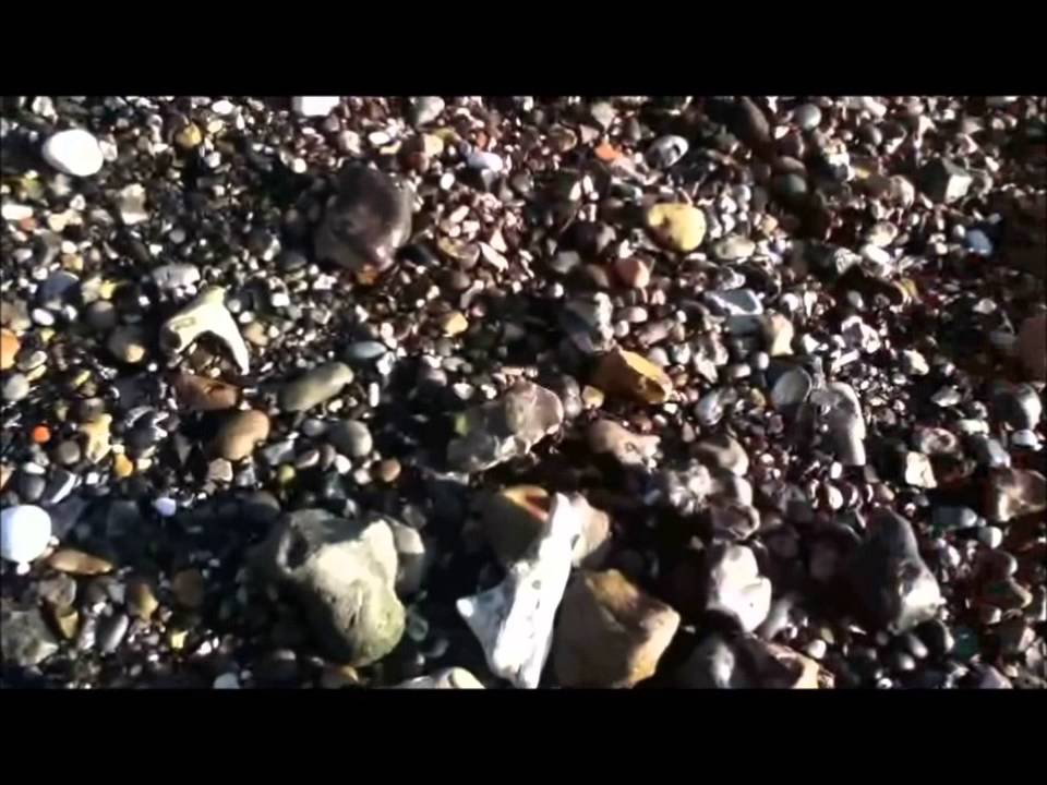 Thames Flint Hunting