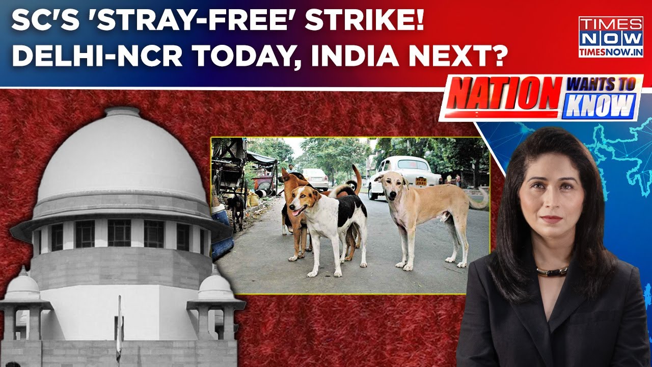 Don't Let The Dogs Out! SC's Put 'Strays In Shelter' Order To End Menace? Why Big Debate Erupted