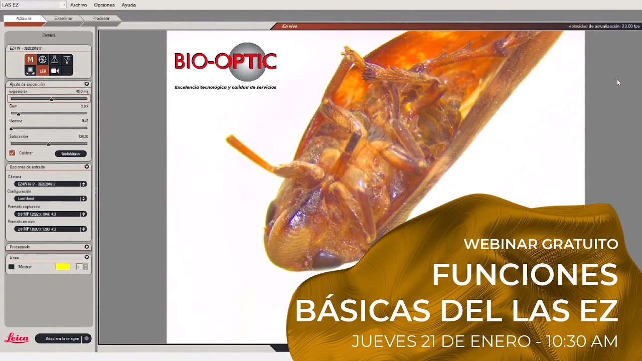 WEBINAR - LAS EZ - Bio-Optic