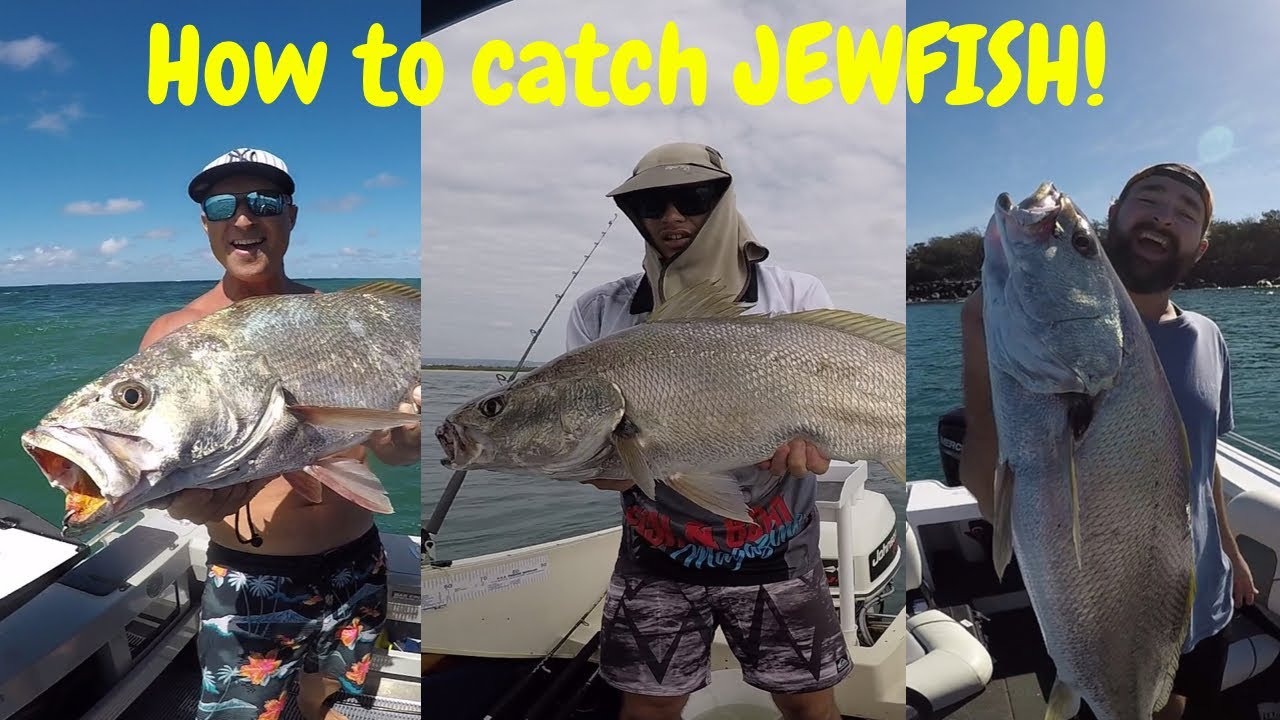 HOW TO CATCH JEWFISH / MULLOWAY (MADE SIMPLE!)