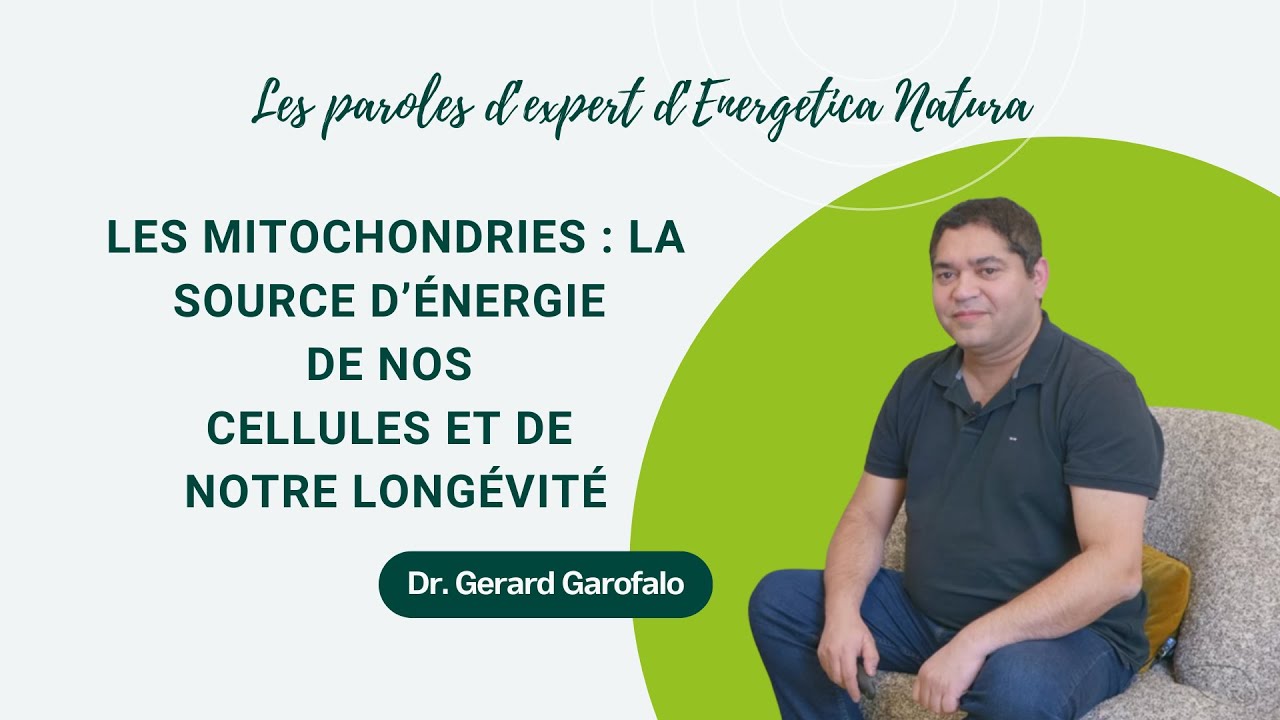 13: Les mitochondries : la source d’énergie de nos cellules et de notre longévité