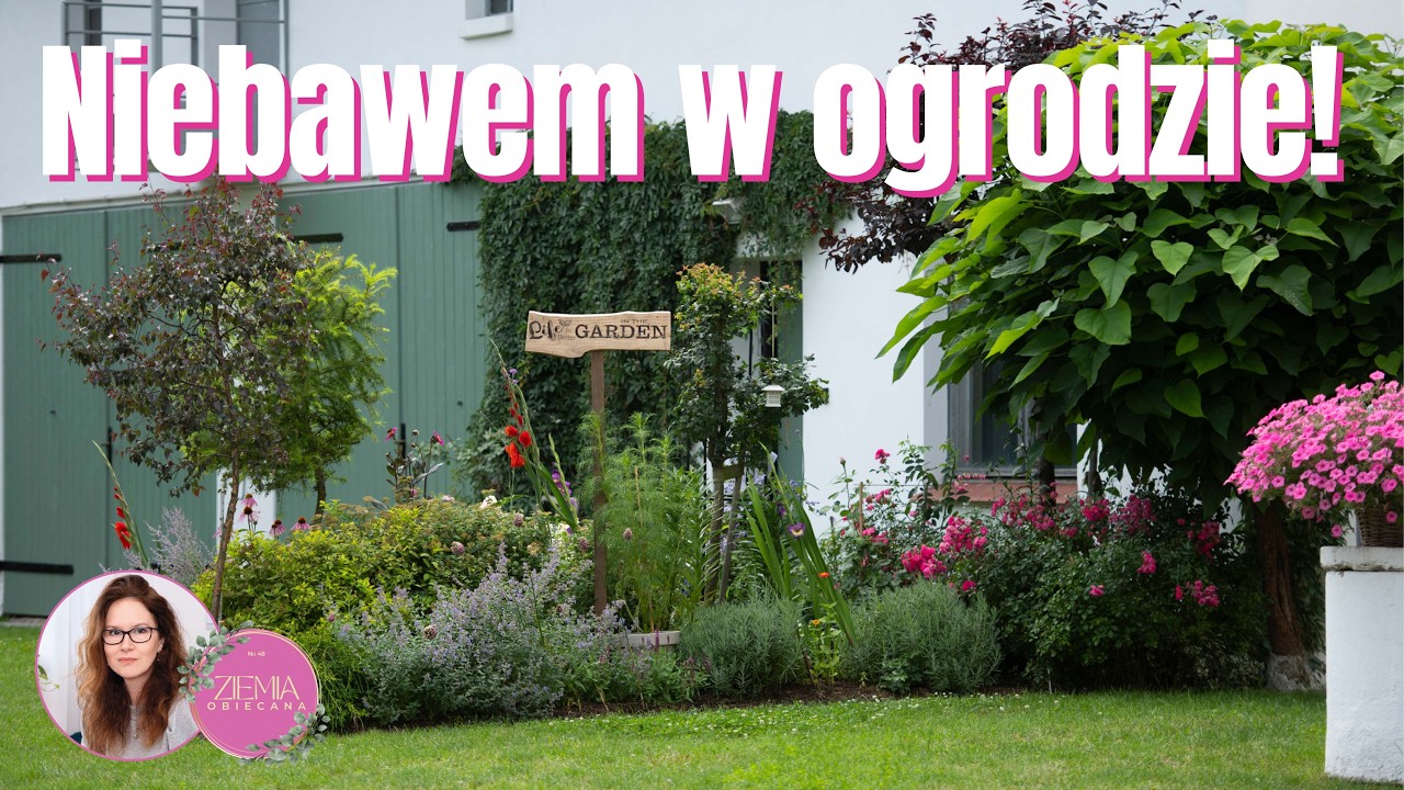 Niebawem w ogrodzie
