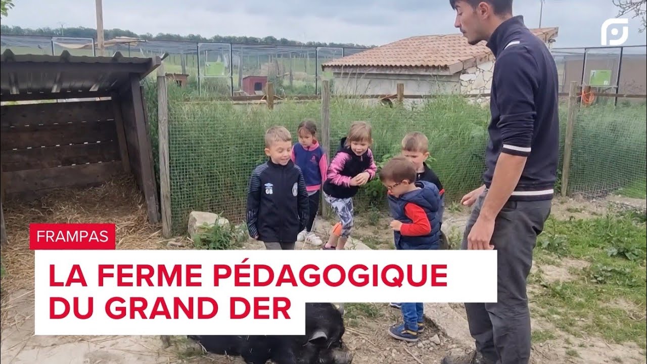 La ferme pédagogique du Grand Der à Frampas