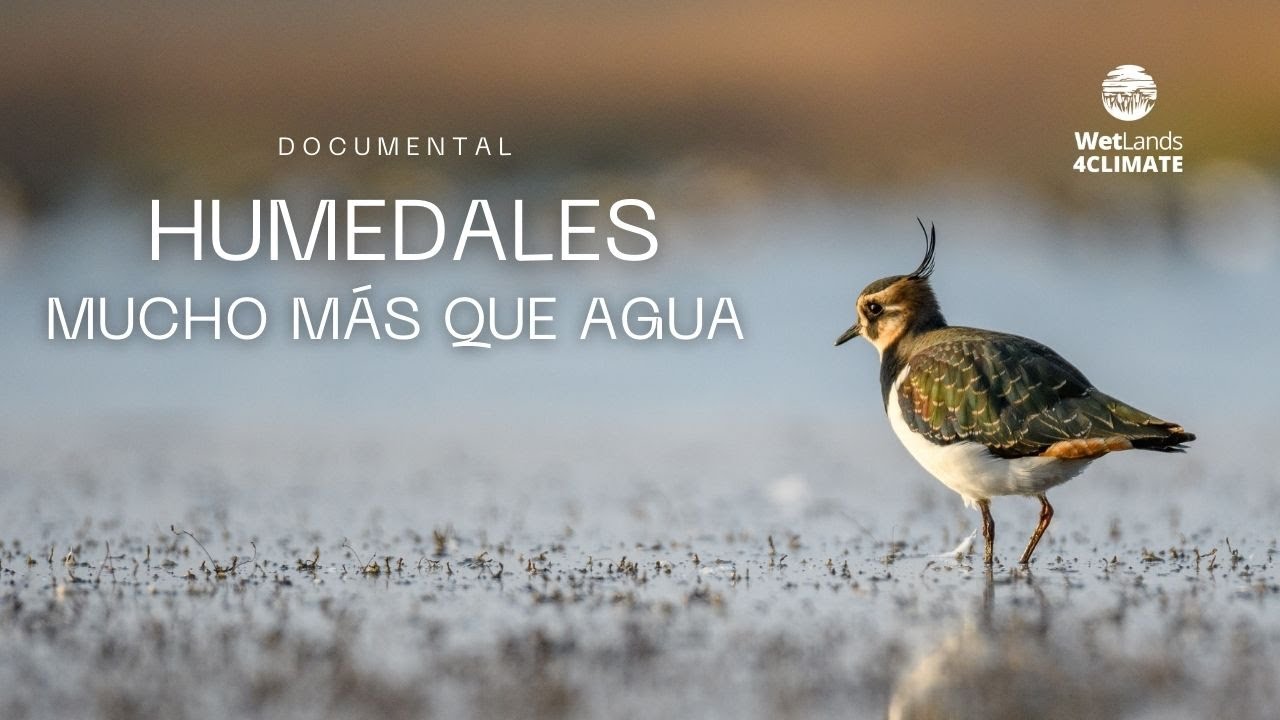 Documental: Humedales, mucho m&aacute;s que agua.