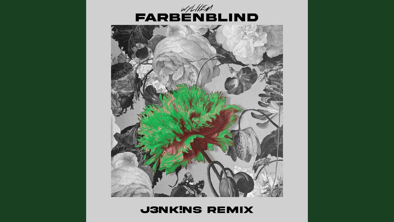 Farbenblind (J3NK!NS Remix)