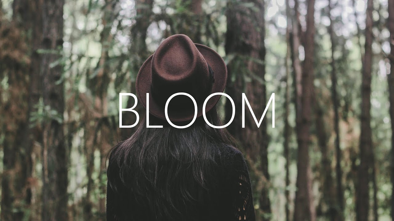 Dabin - Bloom ft. Dia Frampton (Lyrics) Nurko Remix