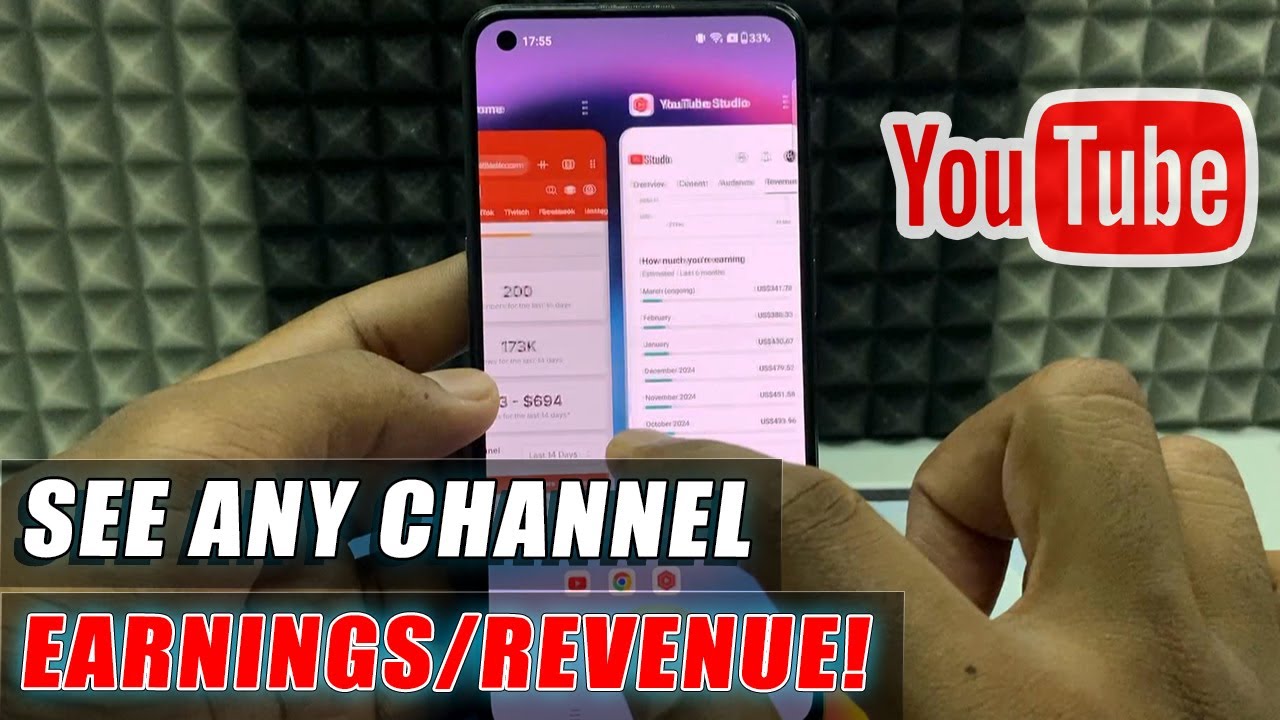 how to see any youtube channel earnings?