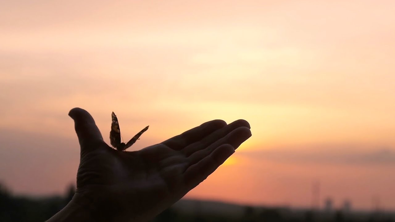 Empower Hope - Donor Network West Foundation
