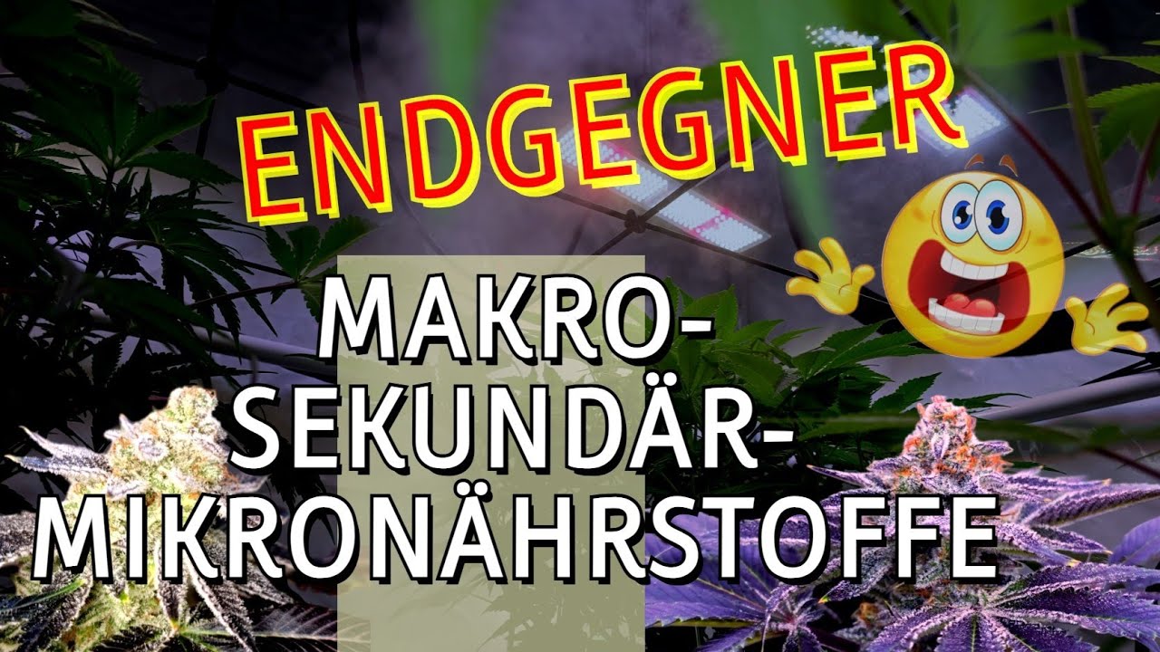 NPK - Makro-, Sekundär- und Mikronährstoffe