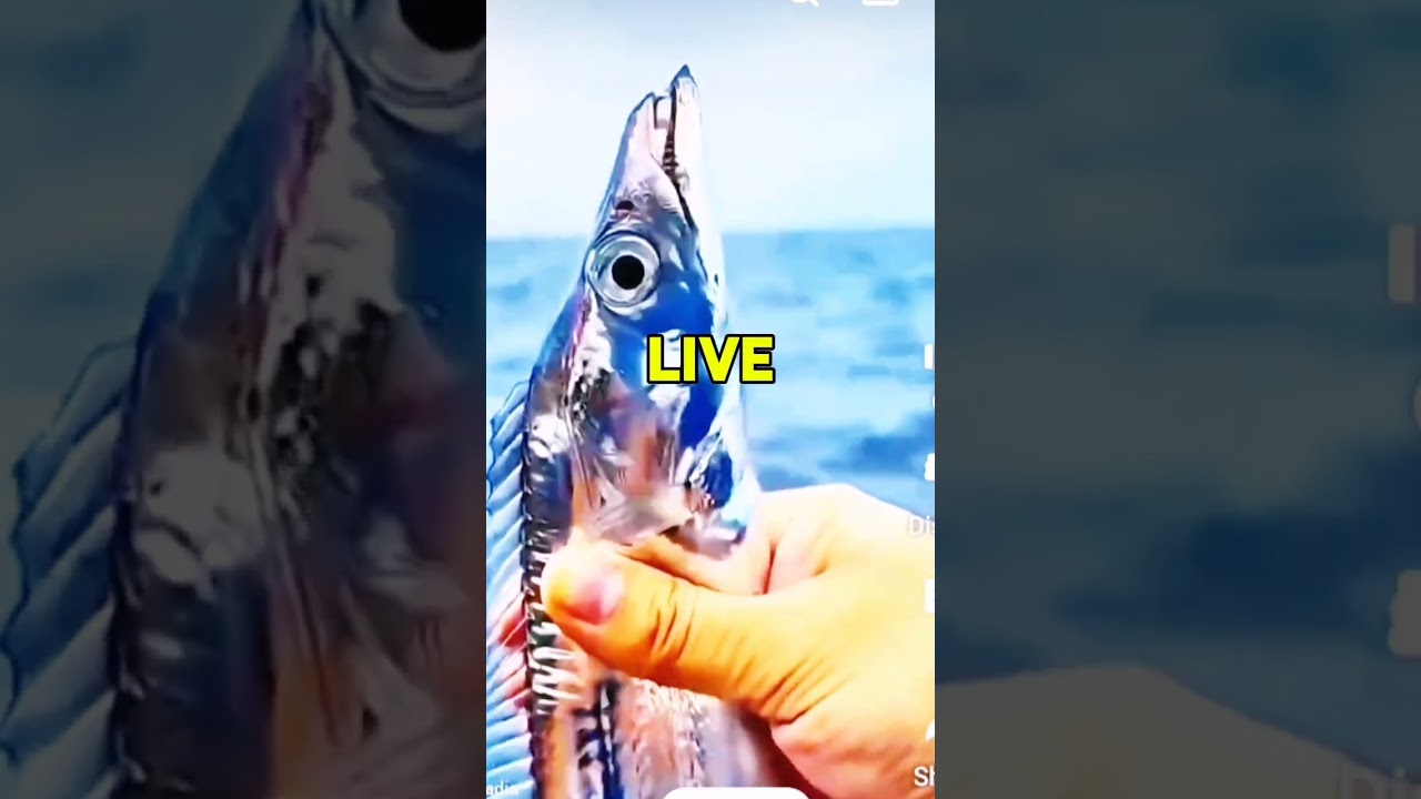 SCALELESS FISH ON PLANET