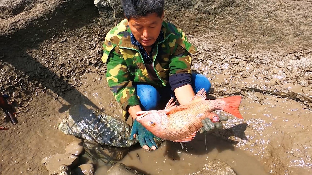 阿阳抽坑逮到大血鲷，将近200块一斤，抱在手里都不敢相信是真的