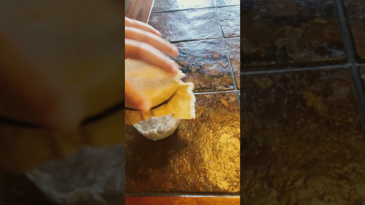 My brand new sourdough starter. Her name is beatris. 