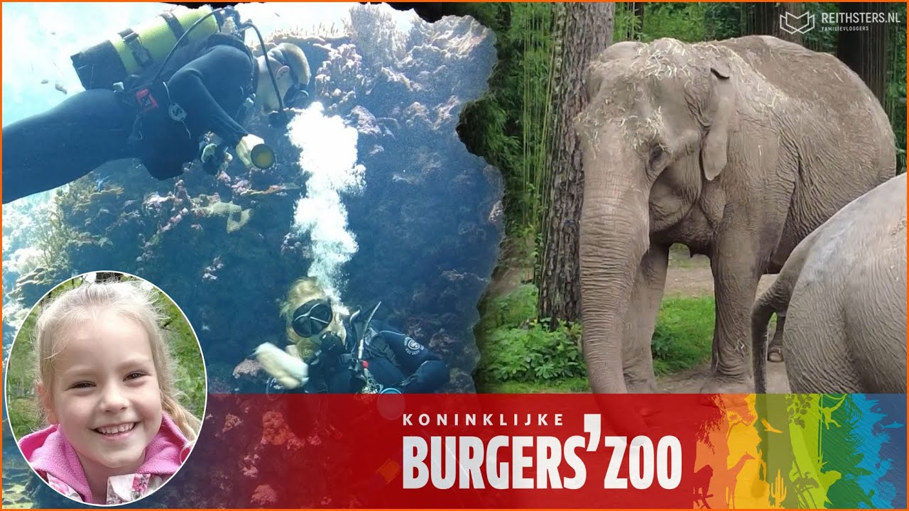 WIJ BEZOEKEN KONINKLIJKE BURGERS' ZOO - VLOG #291