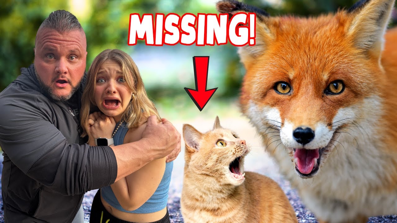 SOMETHING TOOK our CAT!