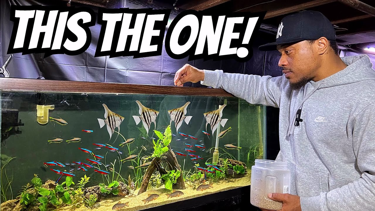 This Aquarium Is My New Favorite!