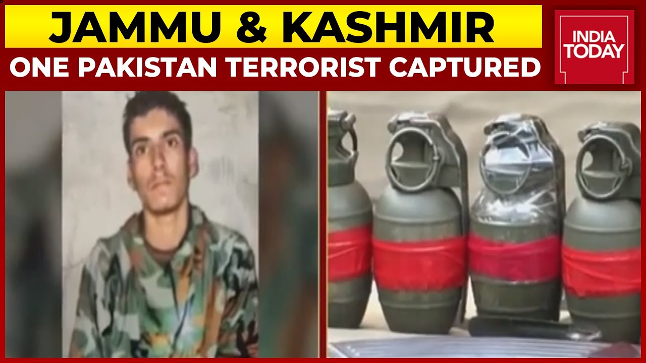 Jammu & Kashmir: One Pakistan Terrorist Captured, Another Killed In Uri Sector
