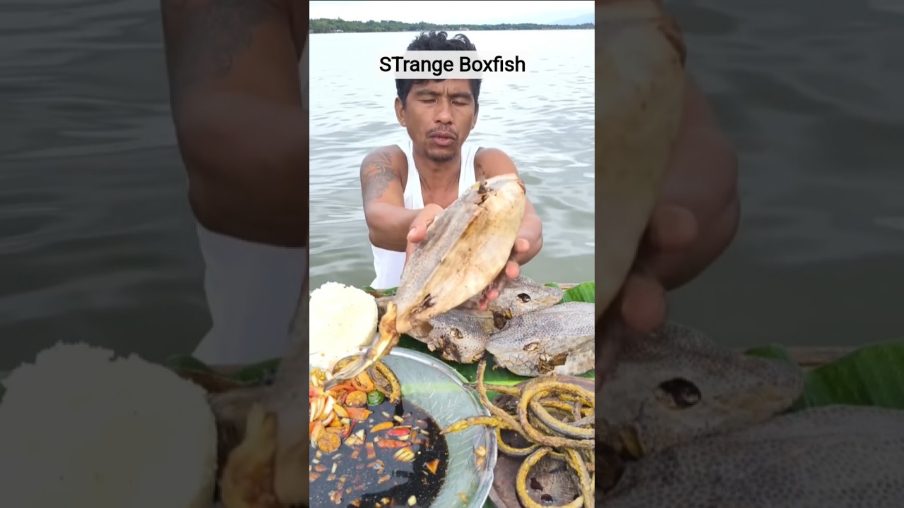 Eating This STRANGE River Boxfish 😱