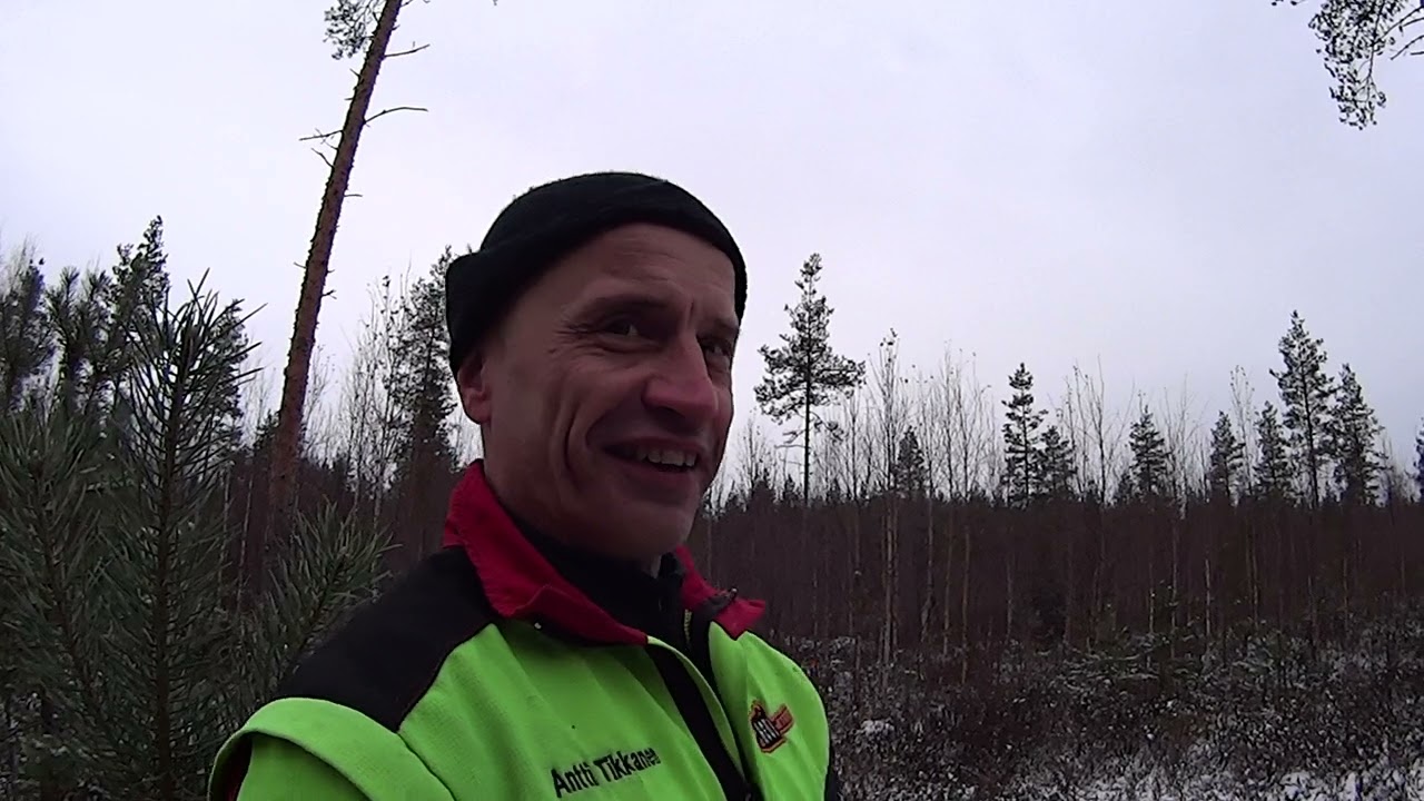Metsolan Metsäkoulu 300 - Karun turvemaan uudistaminen halvalla!