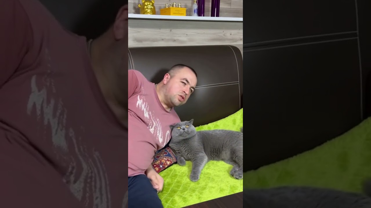 Я и мой любимый кот Сейдж &mdash; Лучшие моменты вместе