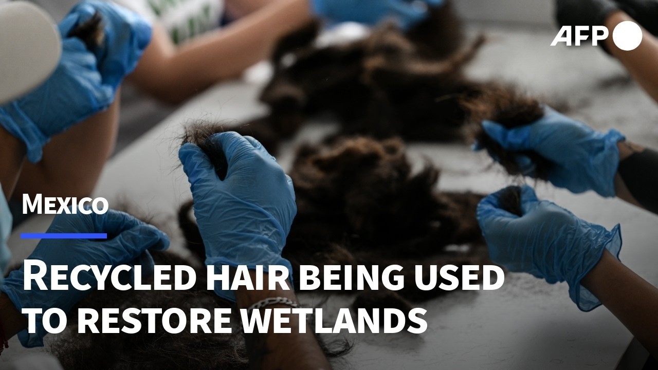 NGO uses recycled hair to help restore Mexico City's agricultural islands | AFP
