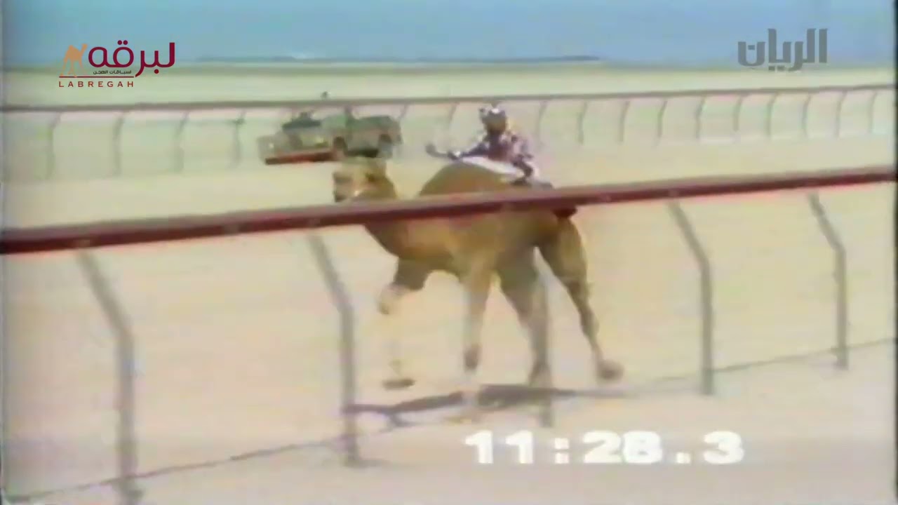 أبها لـ سعادة الشيخ علي بن عبدالله بن ثاني آل ثاني (راشد بخيت مقارح) سيف الحيل 1991 ميدان ند الشبا