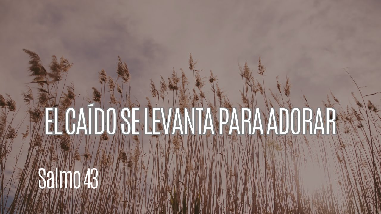 El Caído Se Levanta Para Adorar