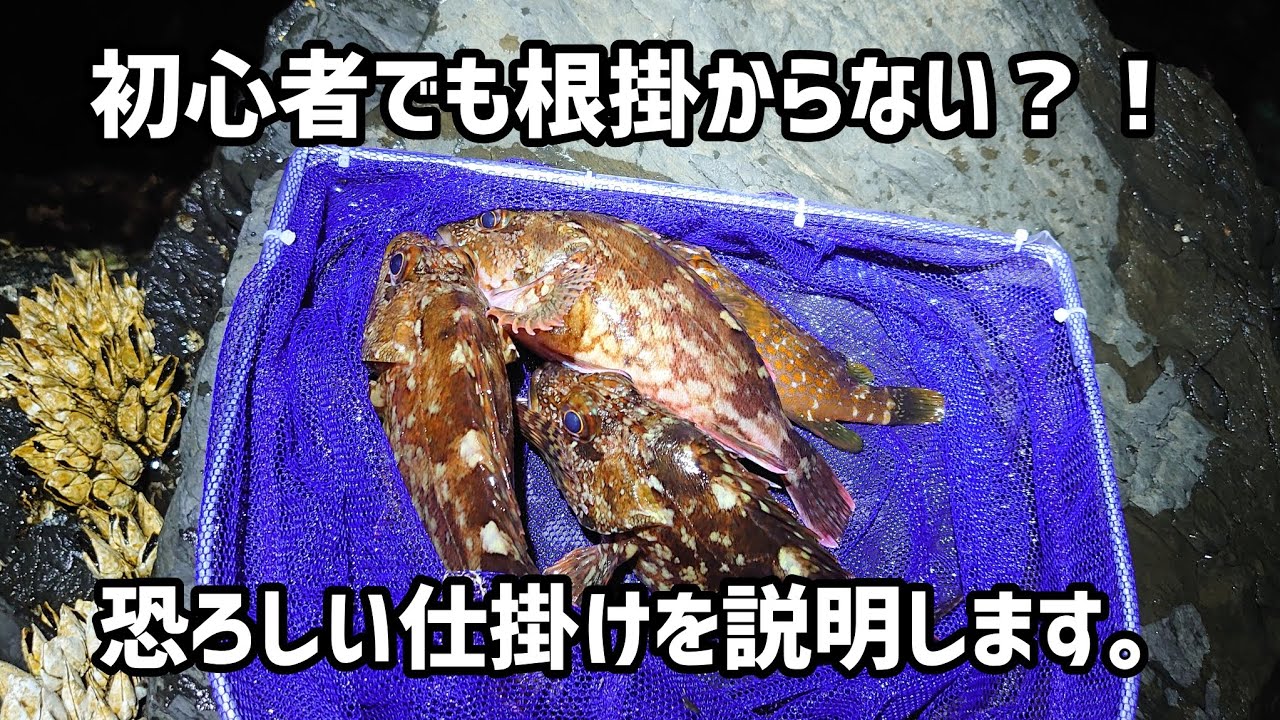【ロックフィッシュ】これは恐ろしい。