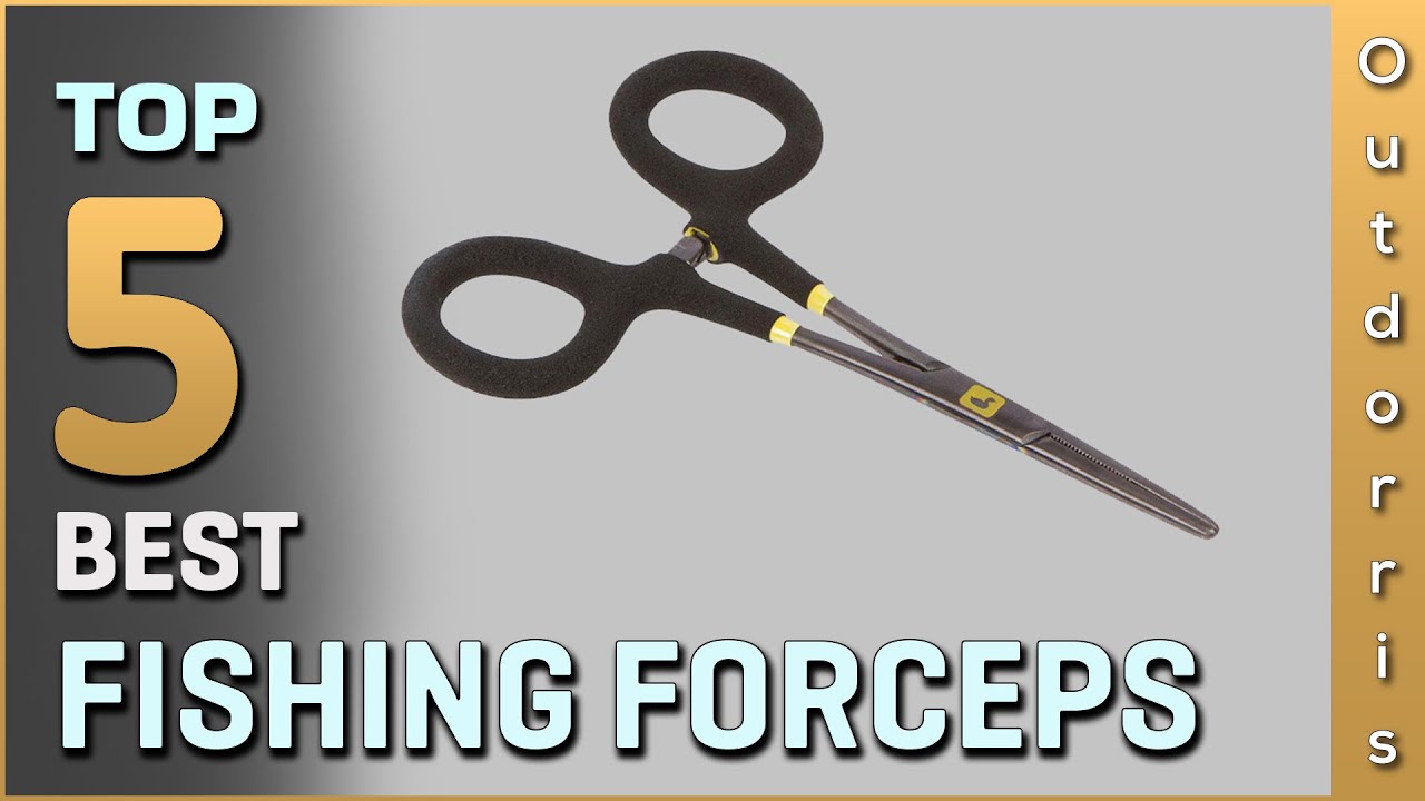 Top 5 Best Fishing Forceps Review 2025