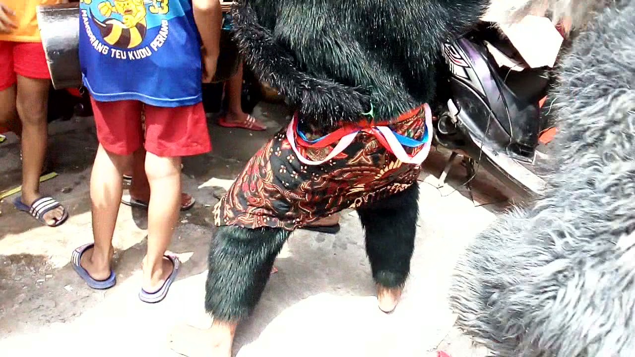 haanoman siap tampil ls ppst (si gerandong cenel)