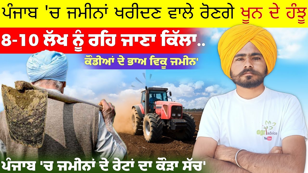 ਹੁਣ ਪੰਜਾਬ 'ਚ ਜਮੀਨਾਂ ਖਰੀਦਣ ਵਾਲੇ ਰੋਣਗੇ ਖੂਨ ਦੇ ਹੰਝੂ 8-10 ਲੱਖ ਨੂੰ ਰਹਿ ਜਾਣਾ ਕਿੱਲਾ Land For Sale In Punjab