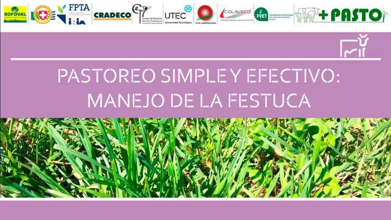 Charla: 