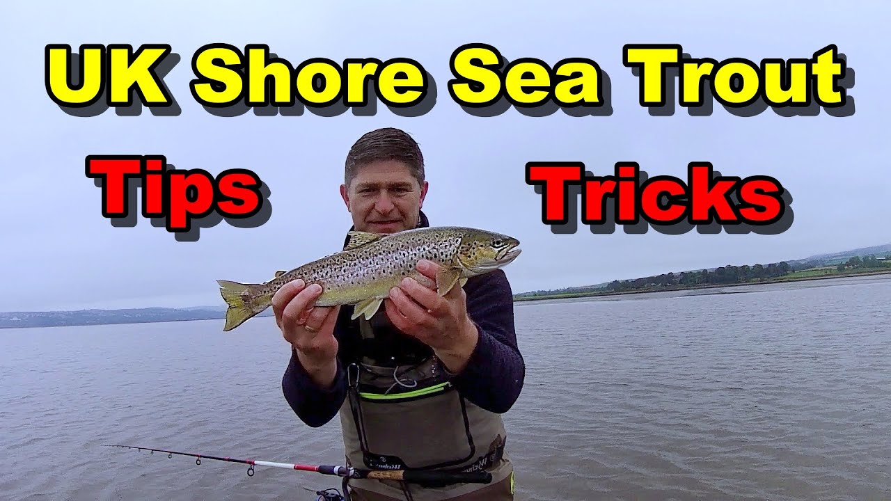 Up Your Game To Catch Sea Trout - Unlocking Bombarda Float Secrets - Coastal Fishing UK