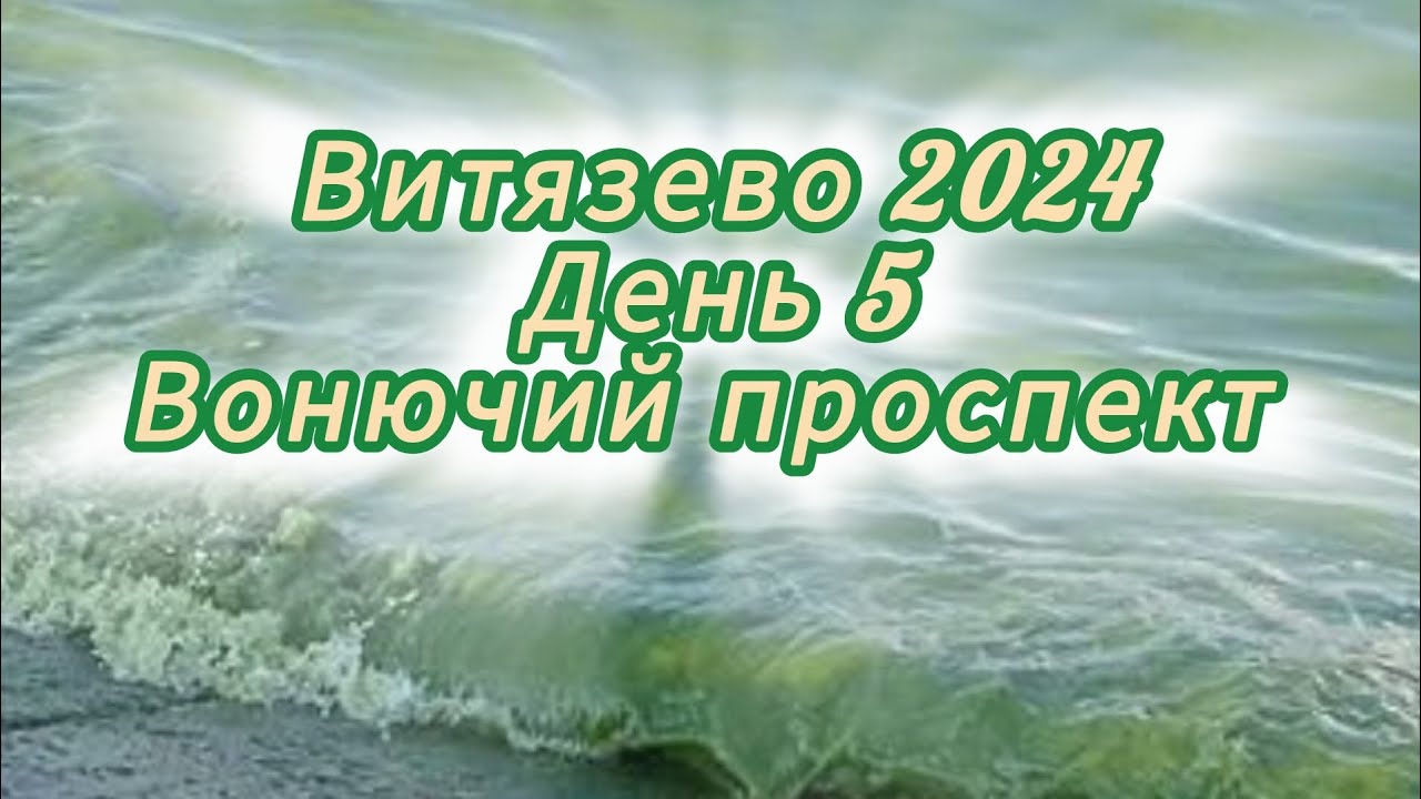 Витязево 2024. день 5. 