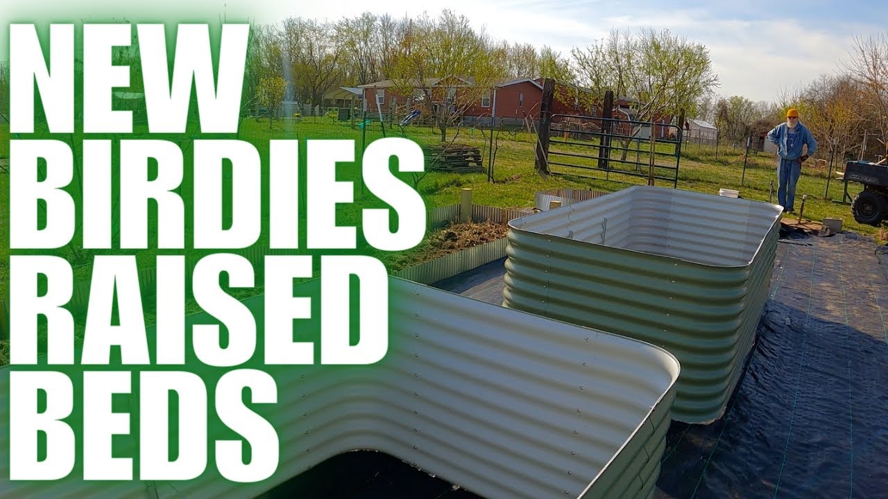 Prepping the Garden for Birdies Large Raised Garden Beds