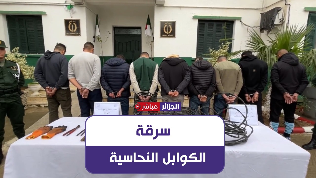 بومرداس: الدرك الوطني يضع حداً لنشاط شبكة إجرامية مختصة في سرقة الكوابل النحاسية