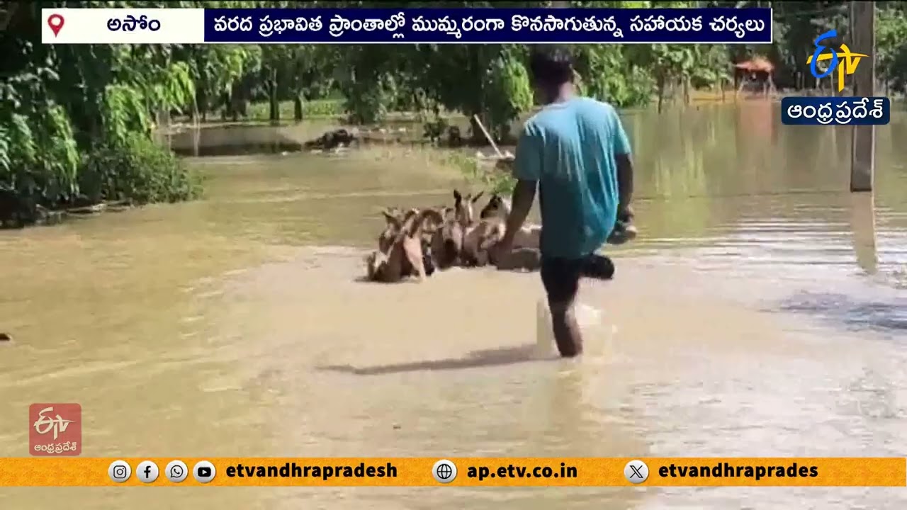 Assam Flood Situation Improves Slightly | 5.5 Lakh People Still Affected