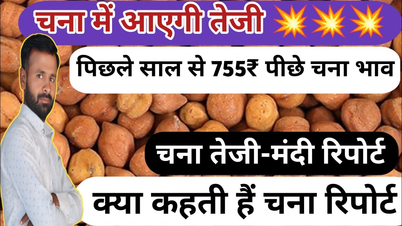 चना का भाव कब बढ़ेगा 2026 | चना में तेजी कब बनेगी | Chana bhav kab badhega | chana bhav today #chna 
